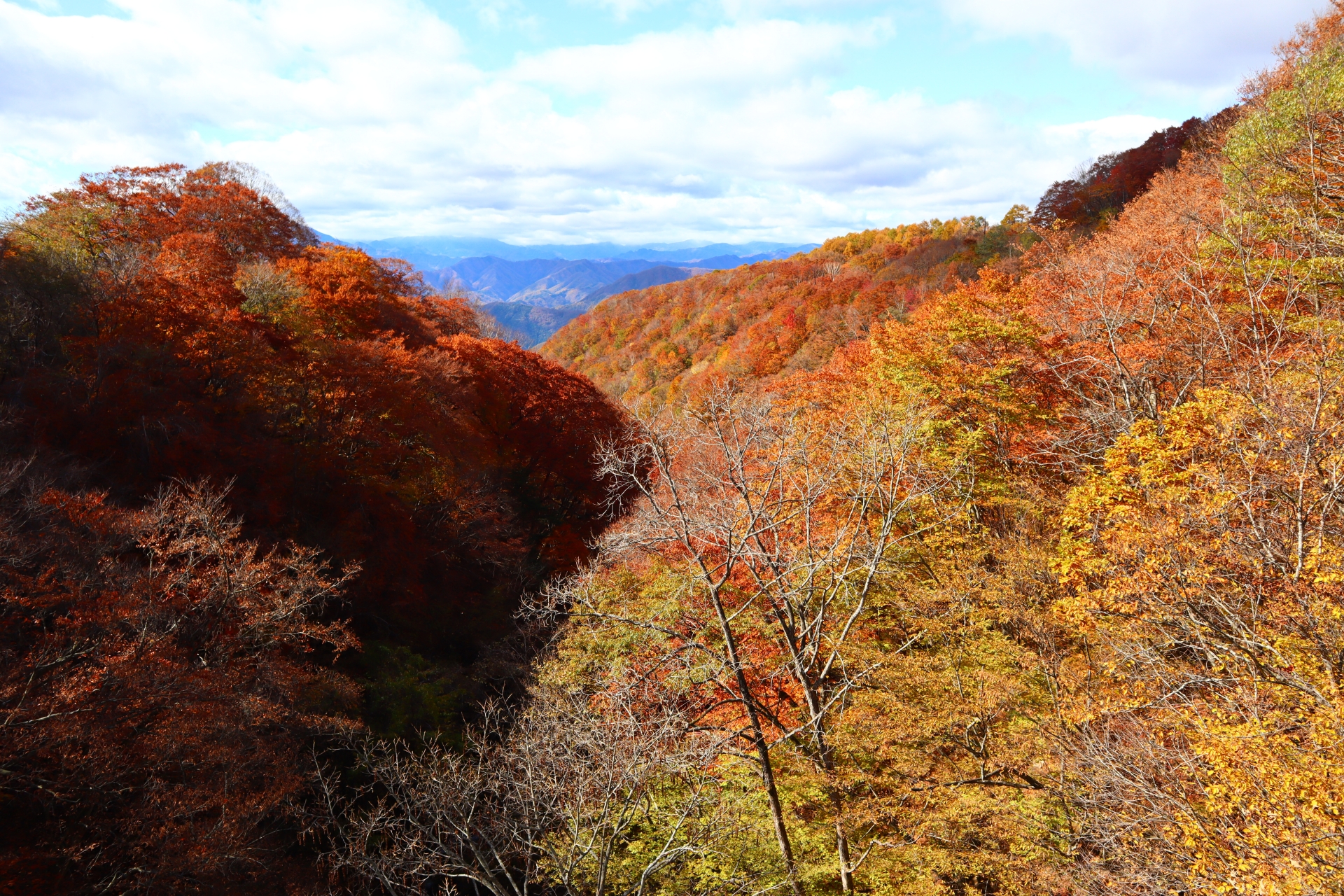日塩もみじライン